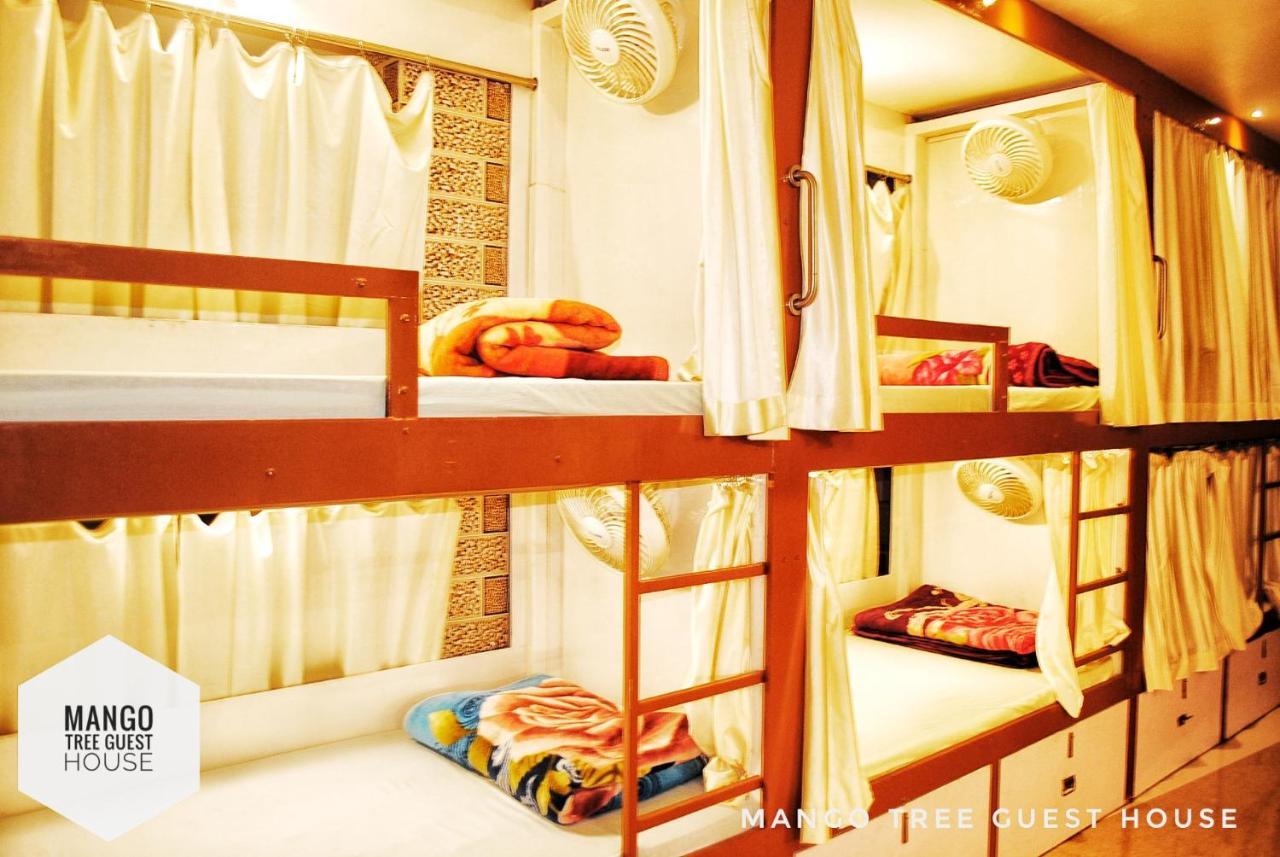 Mango Tree Guest House Rishīkesh Zewnętrze zdjęcie